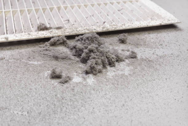 Best Air Duct Inspection  in Kyle, TX