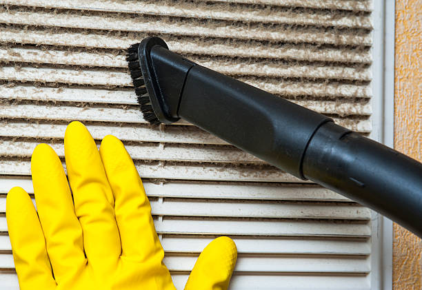 Best Best Air Duct Cleaning Company  in Kyle, TX